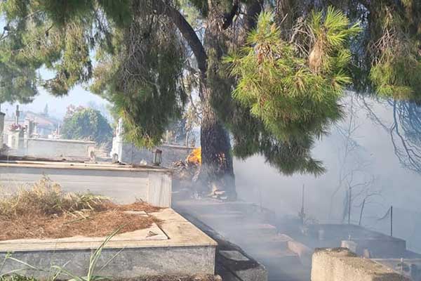 295103821 759500761865022 850245462626338205 n