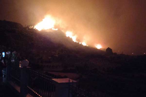 295209758 3176366086026070 1041623614109205644 n