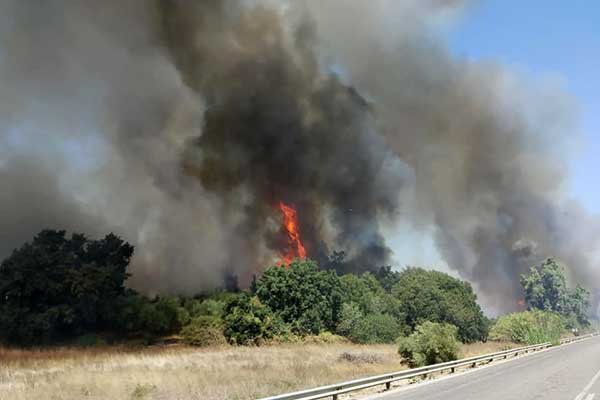 68806528 2336308303300807 5251165782187966464 n