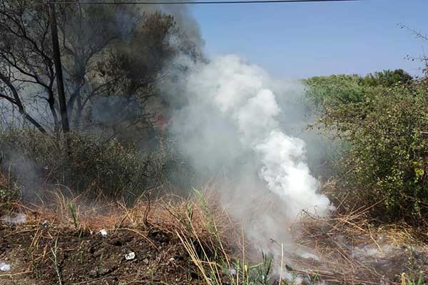 69333088 2336299409968363 4276730336580206592 n