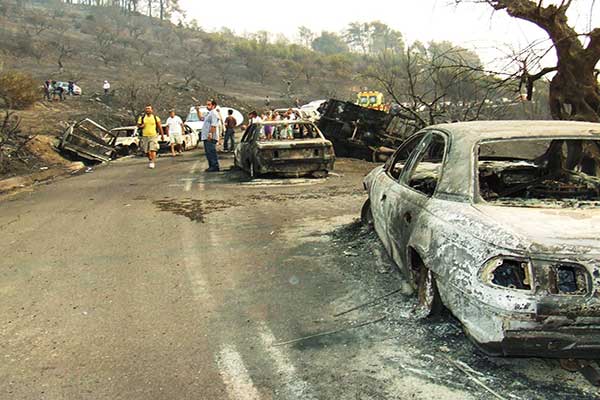 acd3d81b 6725 4064 a7fd c63d0d66a6a0