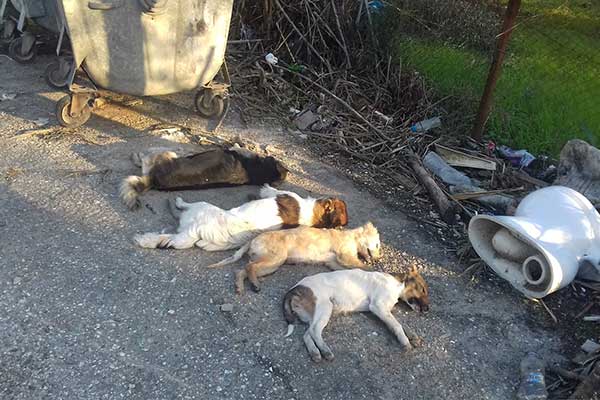 27355873 1971224493095146 2479564764181572113 o