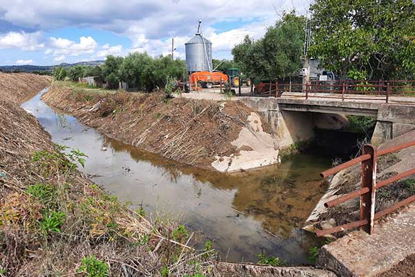 265-KOLIRI---LAMPETI