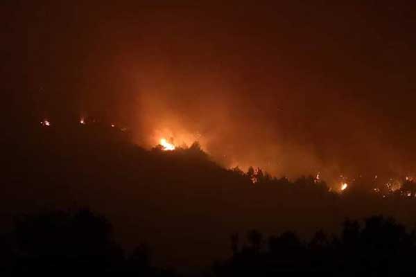 116279017 2611561489108819 6148137360393914168 n