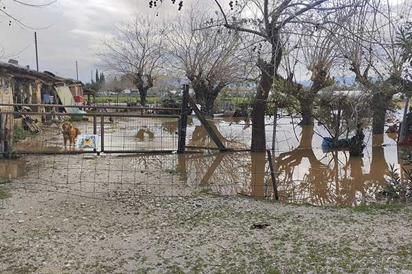 327563084 3321475934779430 8823474954108144179 n