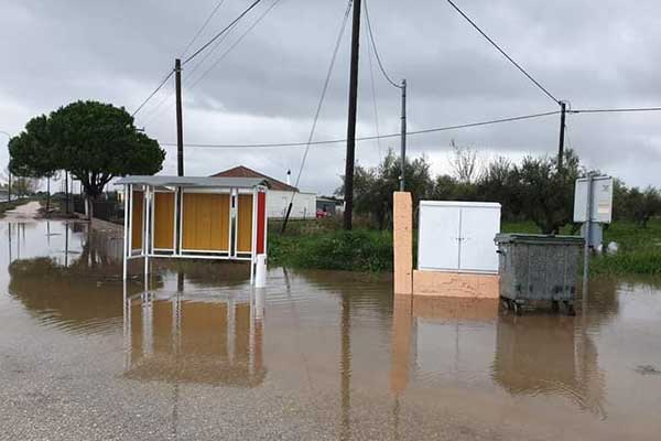 260661368 2976030772661887 6185432115961094108 n