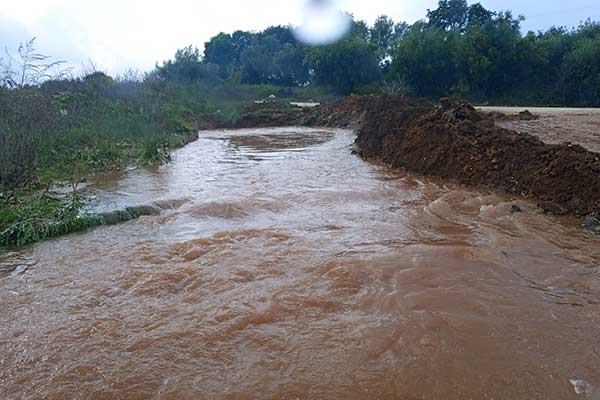 260812099 2976027519328879 320288911482680287 n