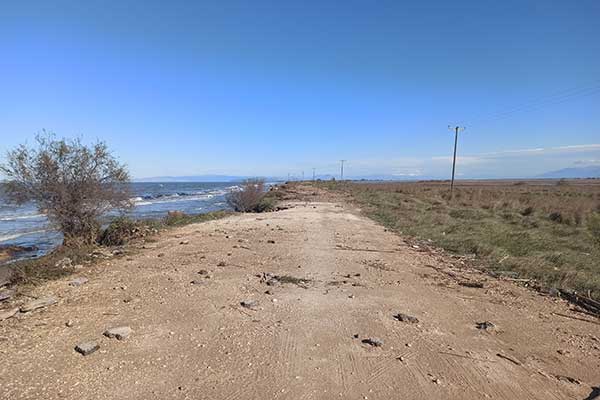 80573561 2662211613865777 1877312913543266304 n