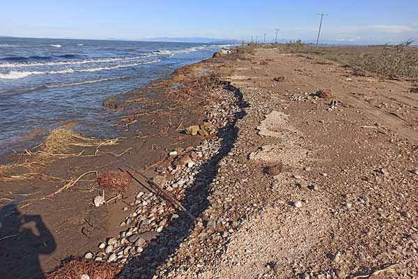 81358605 2426463427614223 8579846778973585408 n