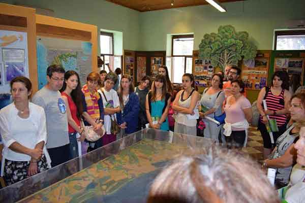 19366052 828961210586206 7368956573567123839 n