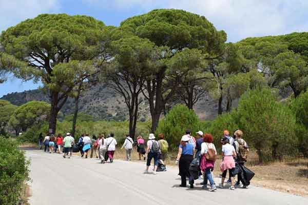 19397048 828961180586209 1764454732362511841 n