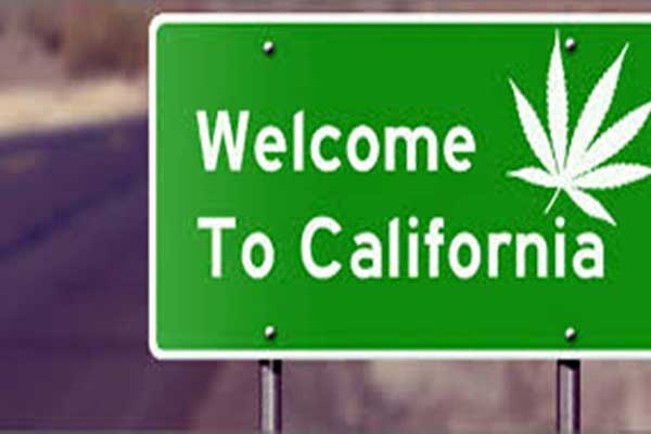 Στην Καλιφόρνια νομιμοποιούν την αγορά και πώληση κάνναβης