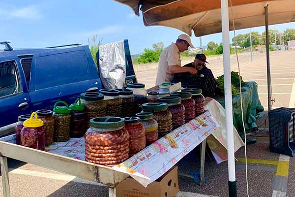 283867467 411529544190228 2340106888258543641 n