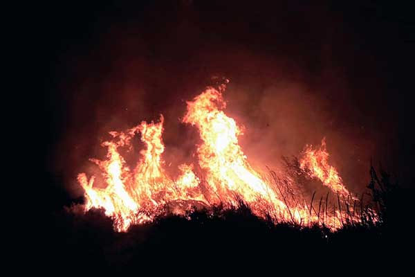 221023526 4471970772814647 2722583509320635966 n