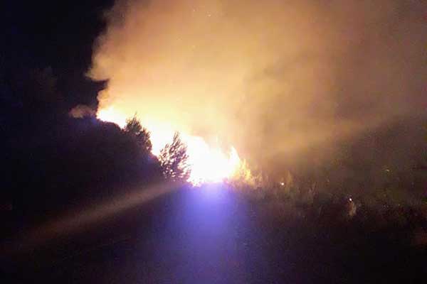 222204814 4471971112814613 2489750759804801923 n