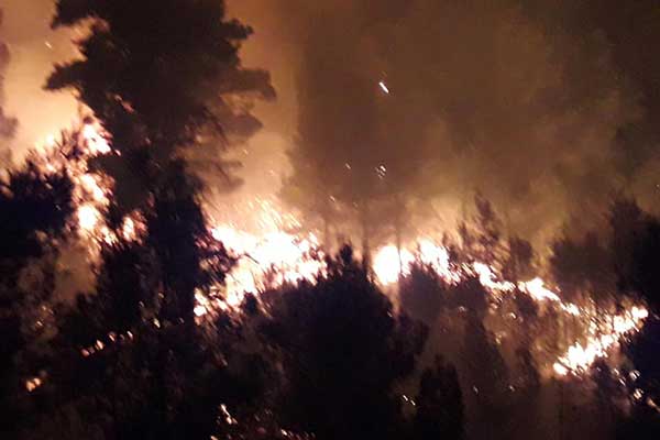 223622165 4471970536148004 330362295427147045 n