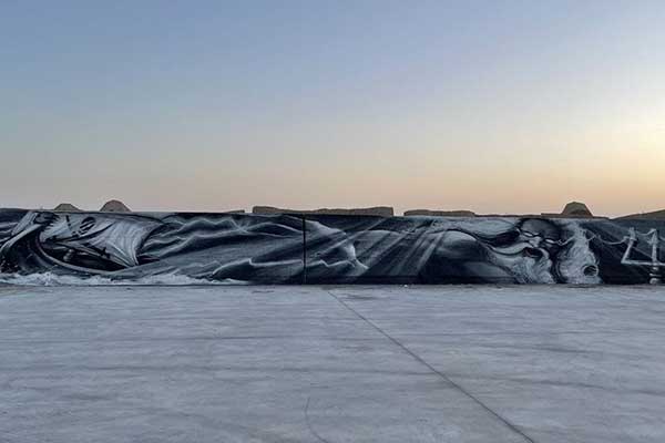 photo 2021-02-28 08-32-53