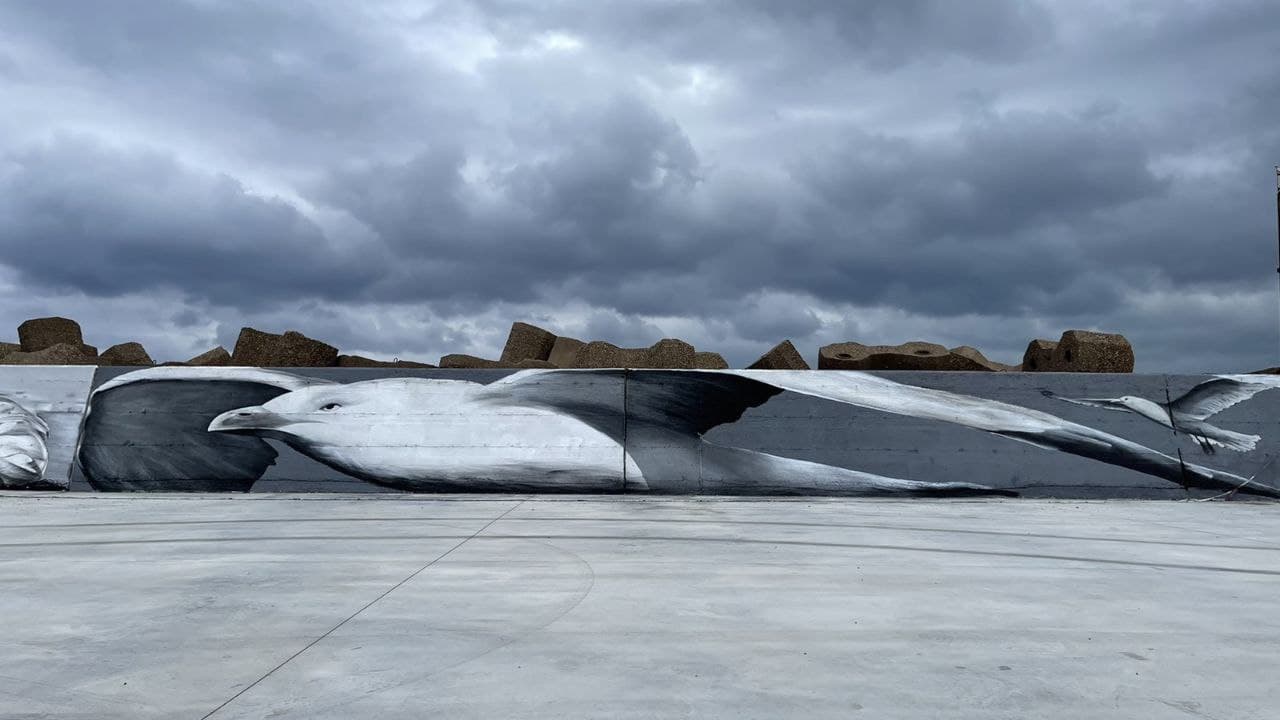 photo 2021-02-28 08-33-06