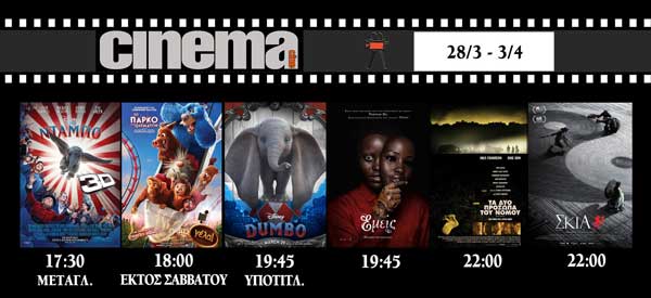 55827018 2480451792222909 8404337772260753408 o