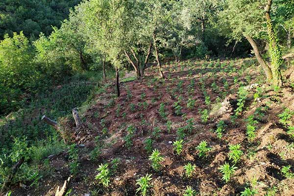 28062021ditikiell001