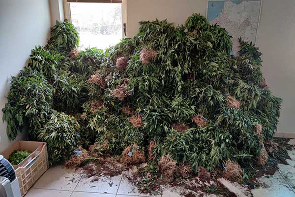 28062021ditikiell003