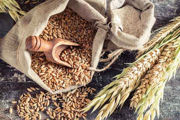 Τι έτρωγαν οι Αρχαίοι Eλληνες; - Τα μυστικά της ευζωίας τους