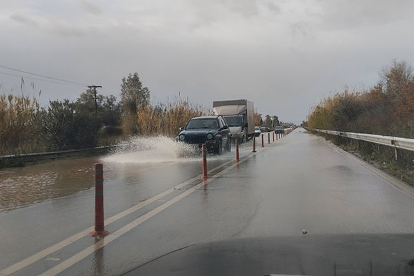 623401842 4160362107562075 2637767033017518410 n