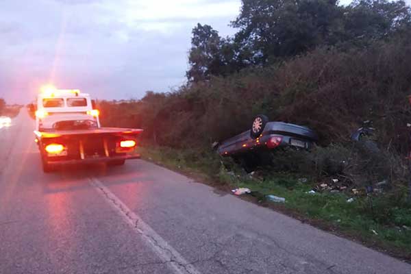 73202623 2392966944301609 3921432744726364160 n