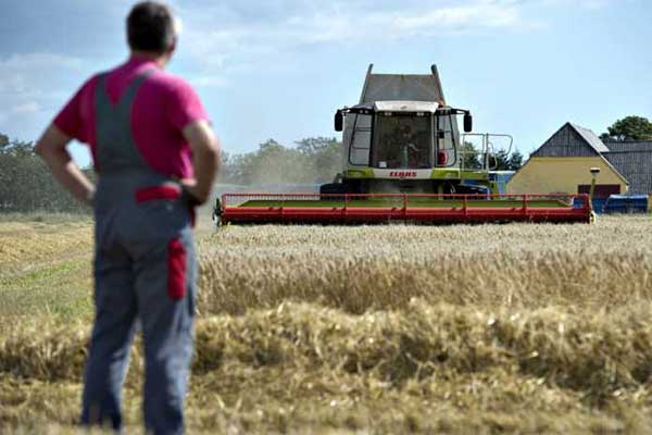 Πληρωμές προς αγρότες, κτηνοτρόφους – Ποιες ακολουθούν τις επόμενες μέρες