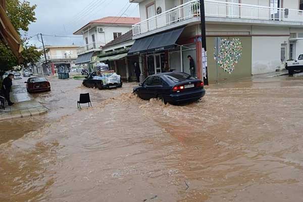 262512338 10223685049665998 6581485225053074921 n