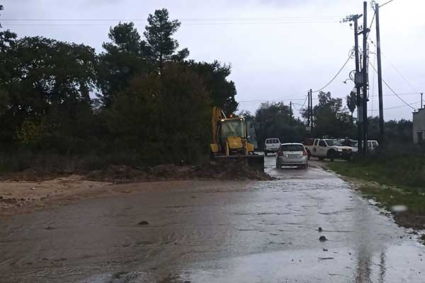 263727181 2980977892167175 3916640780016210239 n