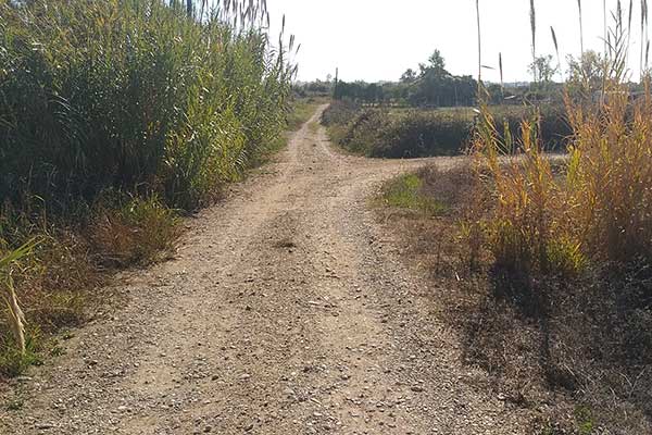 2 2023 05 03T145041.326