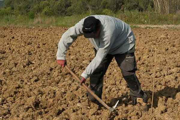 Σοκ για όσους έχουν αγροτικό εισόδημα -«Μαχαίρι» στη σύνταξη ή αύξηση εισφορών
