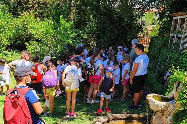 210472619 931681311006324 5193889199650345635 n