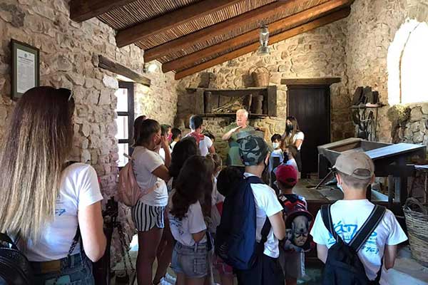 210858024 931681347672987 6278565476472789394 n