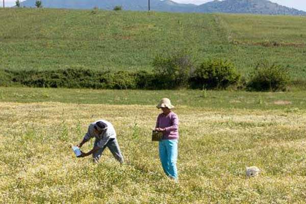 «Φορο-βόμβα» για χιλιάδες αγρότες από την αύξηση στο 100% της προκαταβολής φόρου