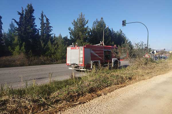 83581056 2474766782788291 5184189125871271936 o