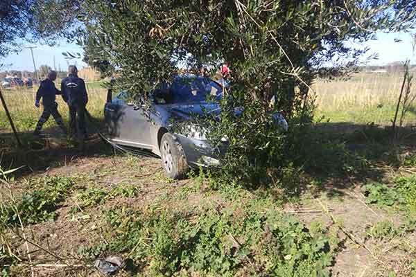 84137908 2474624562802513 3335134417076092928 n