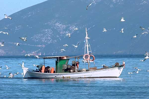 Οικολόγοι Δυτικής Ελλάδας: "Όχι στην βιντζότρατα-Άμεσα θαλάσσιος χωροταξικός σχεδιασμός για προστασία του περιβάλλοντος"
