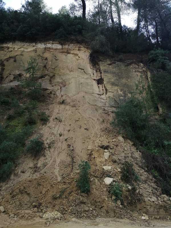 135750561 327183378408351 7494361369358681342 n