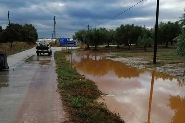 71715456 2366558283609142 4276229955710353408 n