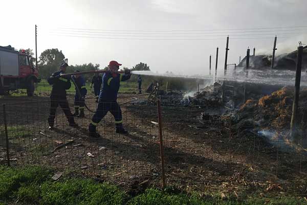 120796947 2670780853186882 6651291762539938417 n