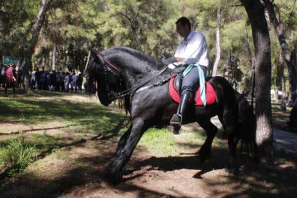 Περιουσιολόγιο: Από χρυσές λίρες μέχρι... άλογα! Τι πρέπει να δηλώσετε