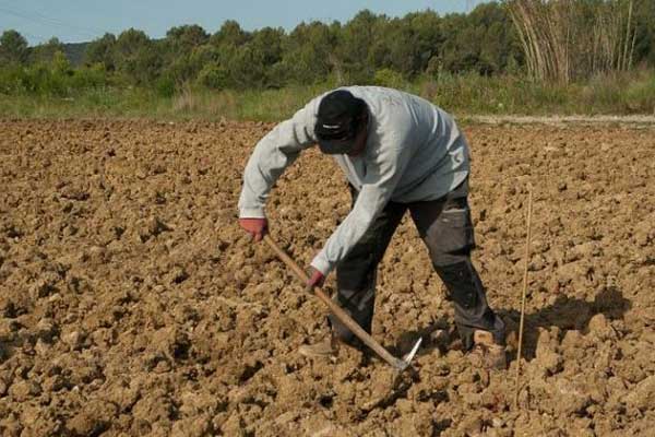 «Μαχαίρι» έως 60% σε συνταξιούχους που έχουν και εισόδημα από αγροτική δραστηριότητα