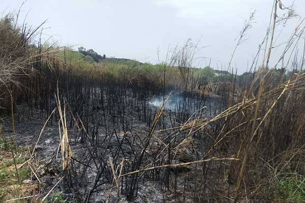 169135562 746350496241280 3667268105874816758 n