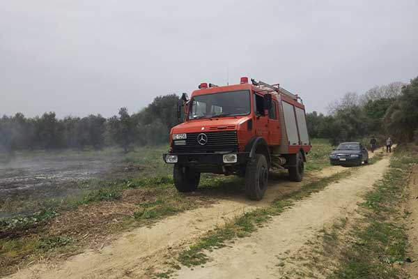 169318903 2470473543076306 233488831614755941 n