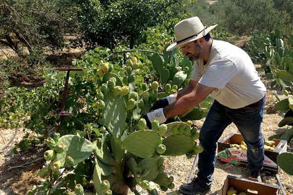 ΕΣΠΑ: Ξεκινούν οι αιτήσεις για το νέο πρόγραμμα επιδότησης στην μεταποίηση