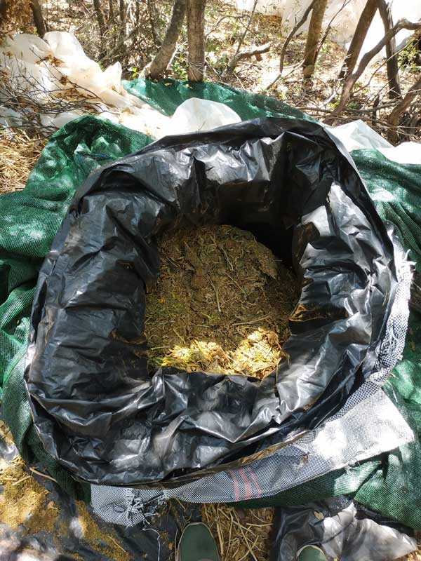 04072019dytelladasyllipsi004