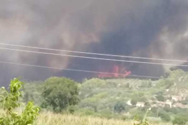 225636705 10216567939666047 3825826175079792923 n