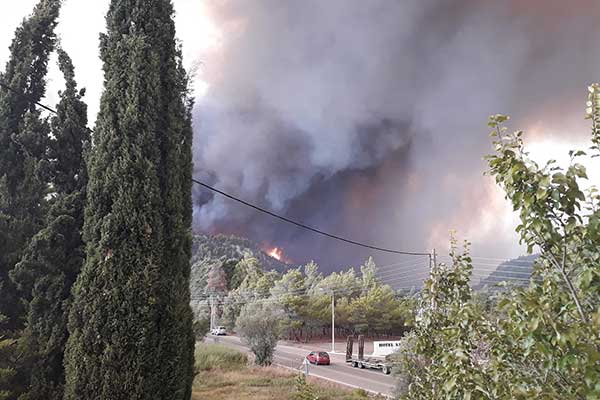 232392495 10223010493684239 5311219675803698206 n